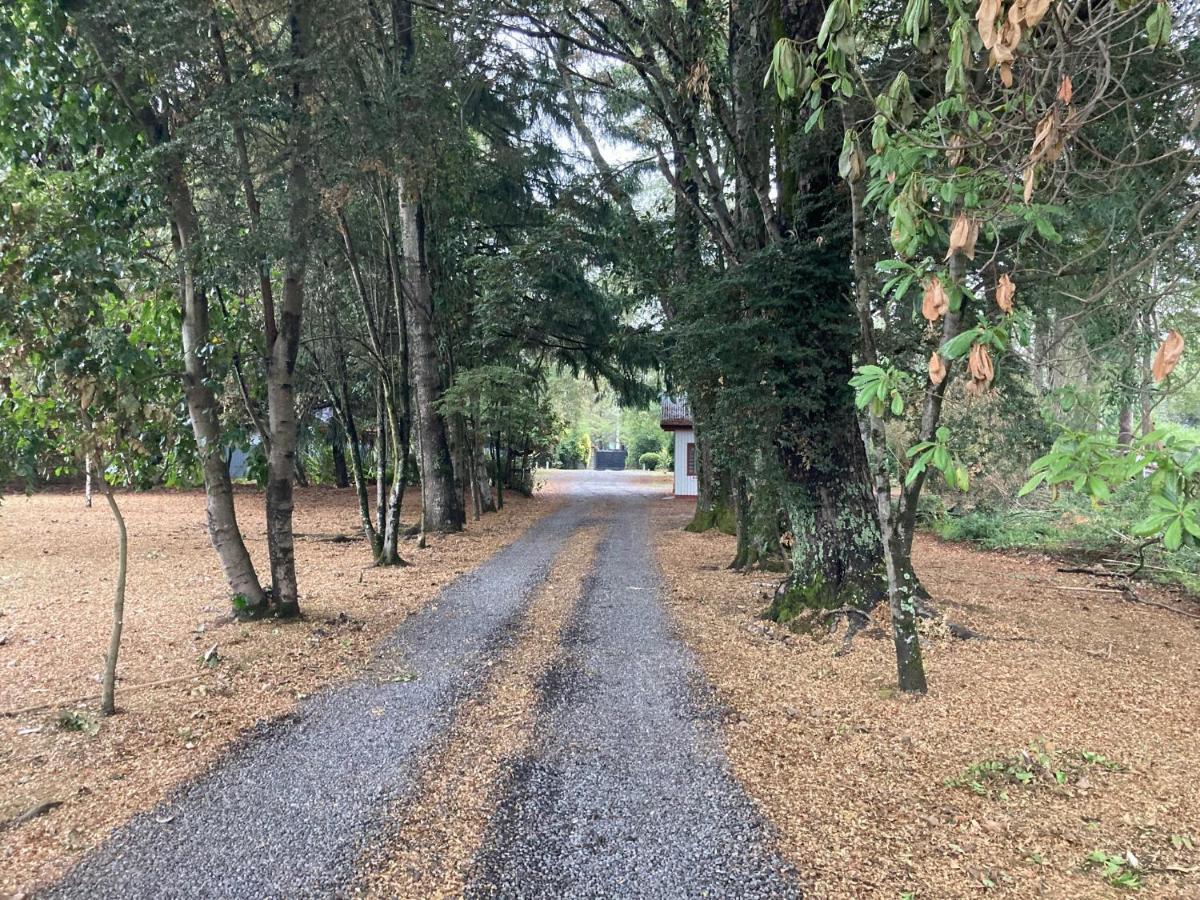 Motel Los Robles Temuco Zewnętrze zdjęcie